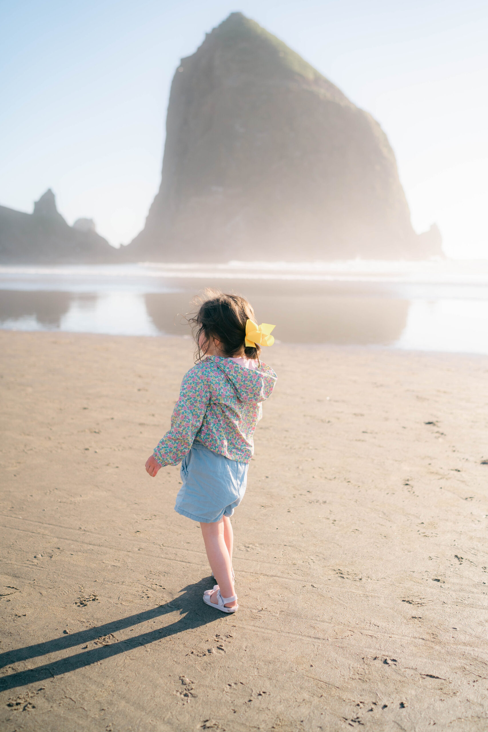 View of Haystack Rock at low tide during a family getaway to Cannon Beach, Oregon