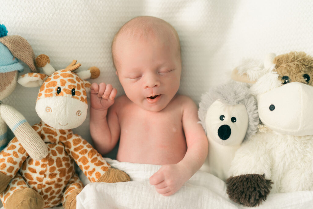 Soft and airy newborn portraits in Holladay, Utah nursery. Captured by Iris Graciela Photography.
